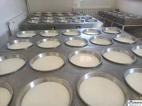 奶皮子加工 奶皮子加工